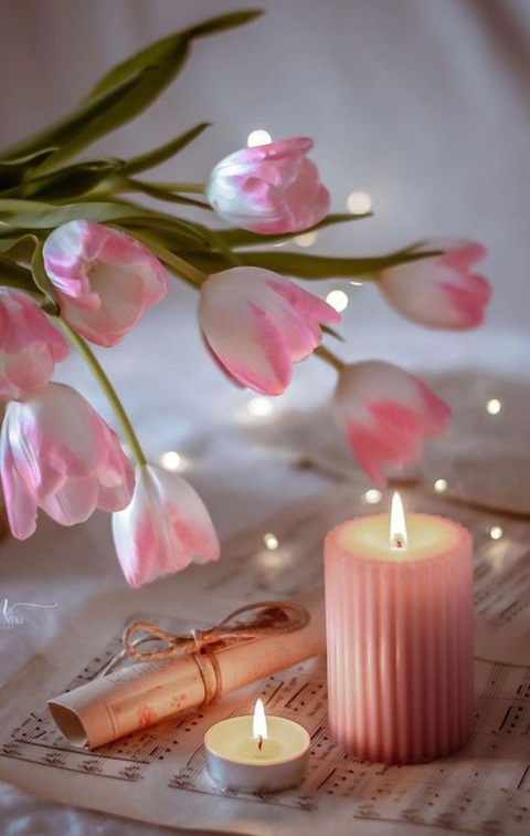 шпалери pink, Decoration