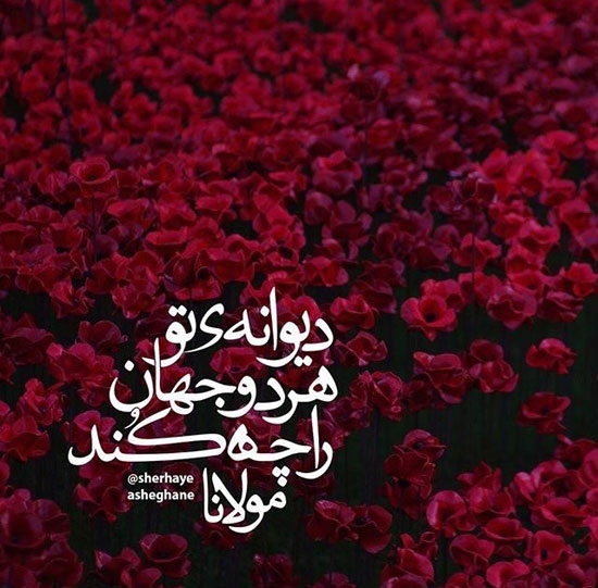 فرزند و عیال و خانمان را چه کند.