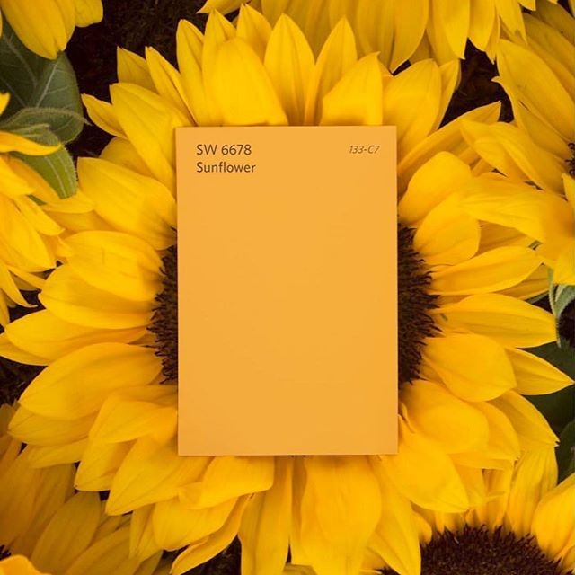 #YELLOW...