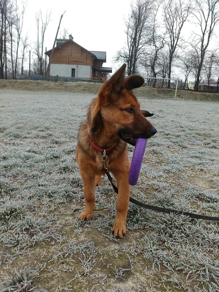 Jesika