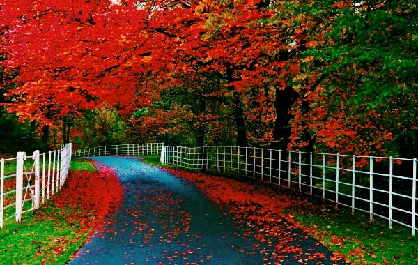 Nature
