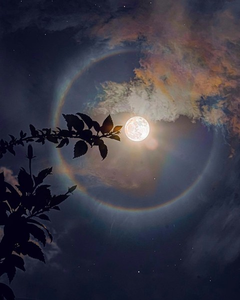 Moon