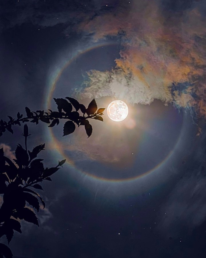 Moon