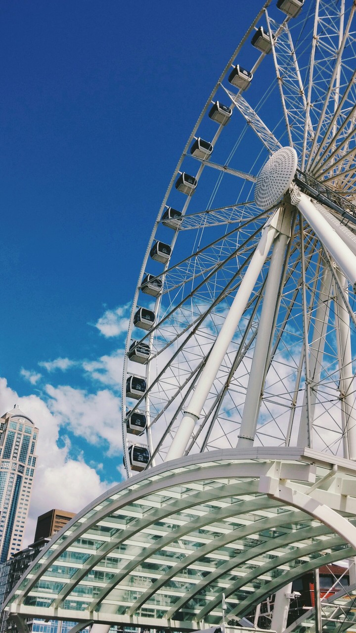 Wheel of fortune