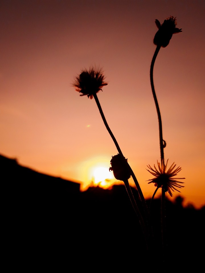 Golden moment