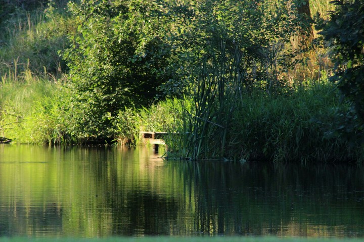 Water