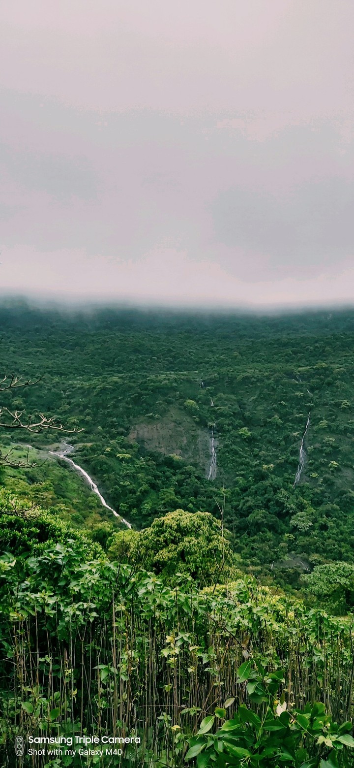 Go green - Cloudy Mountain
