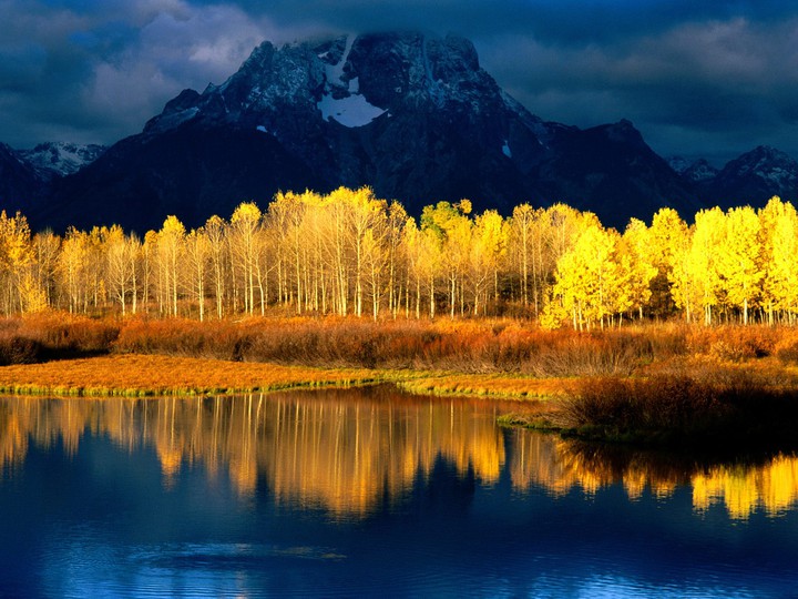 Golden river