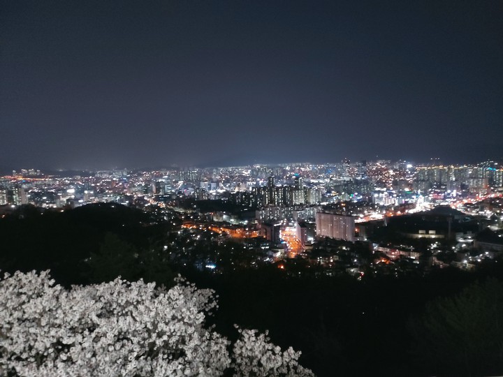 전망대