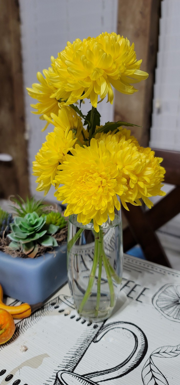 yellow flower