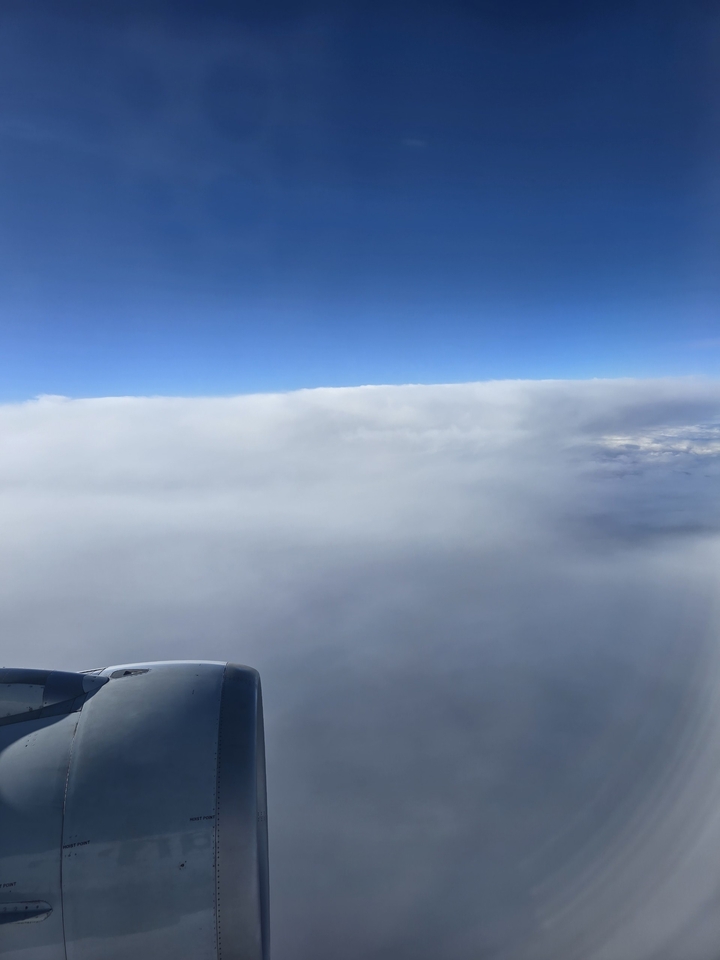 Flight to Vegas