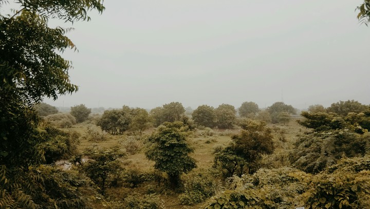 NATURE VS MAN