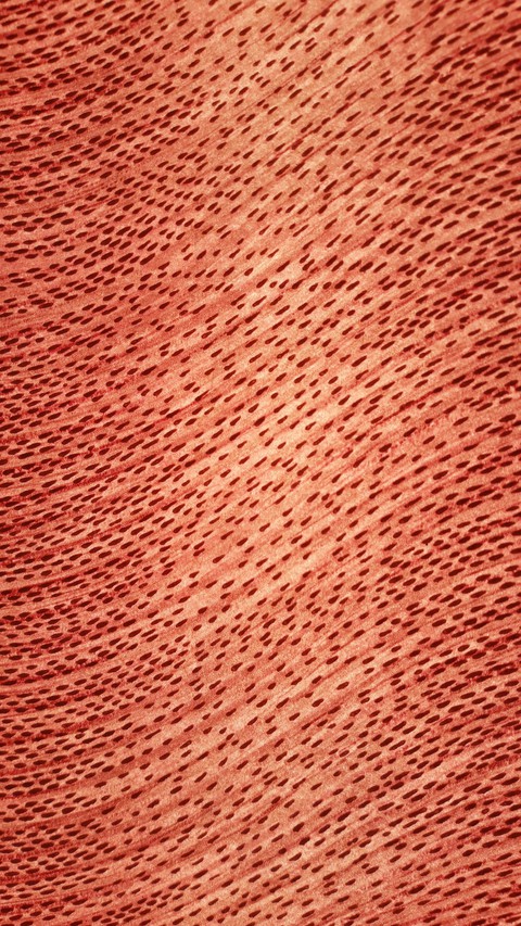 patterns