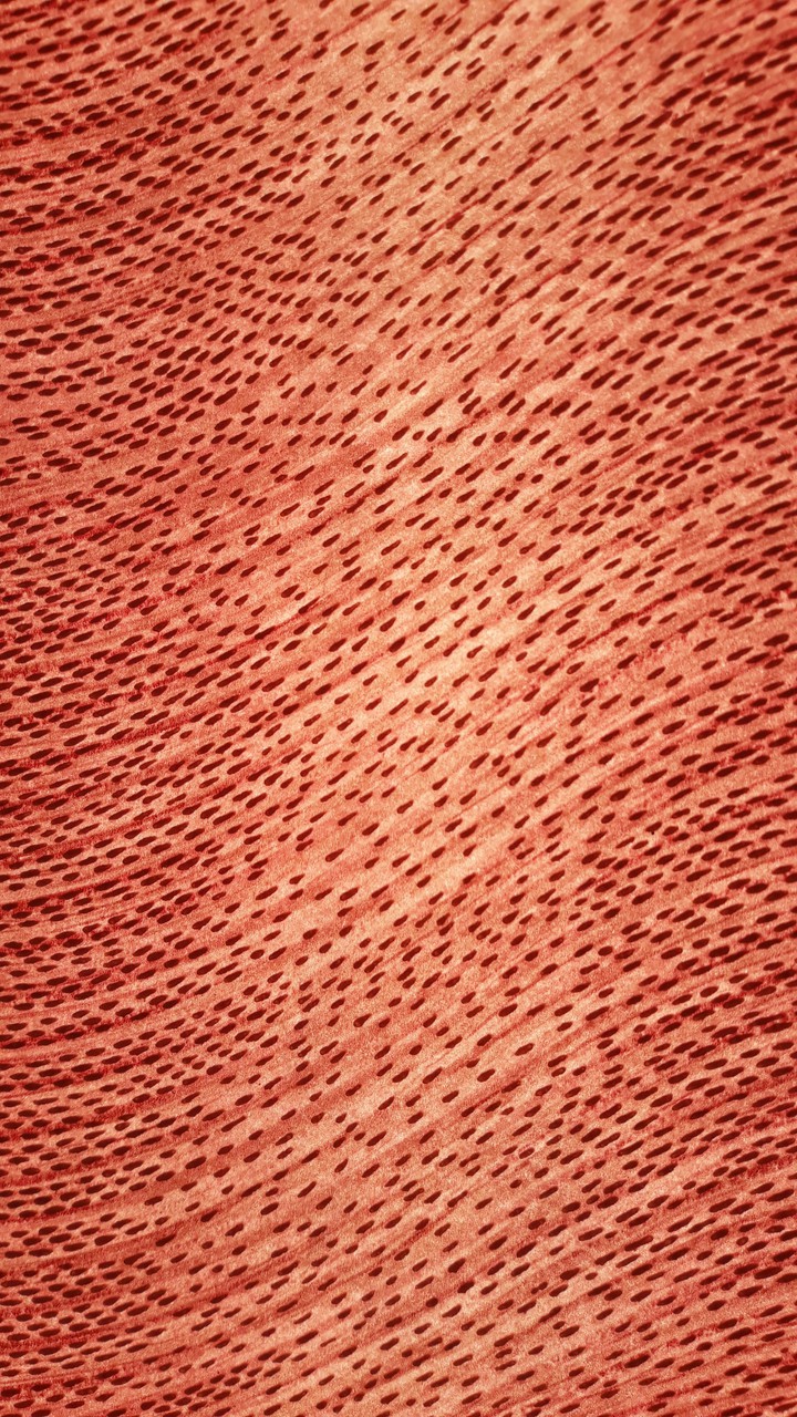 patterns