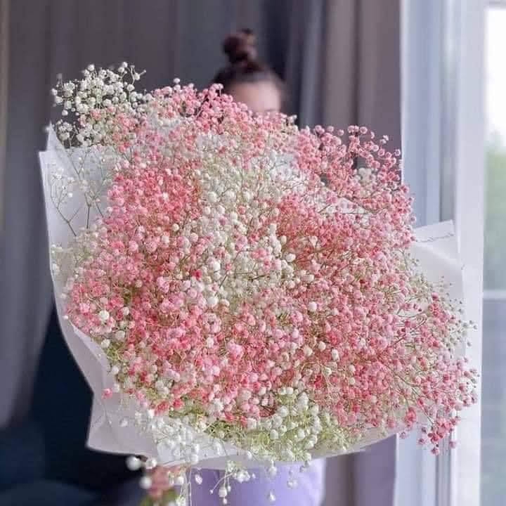 flowers❤