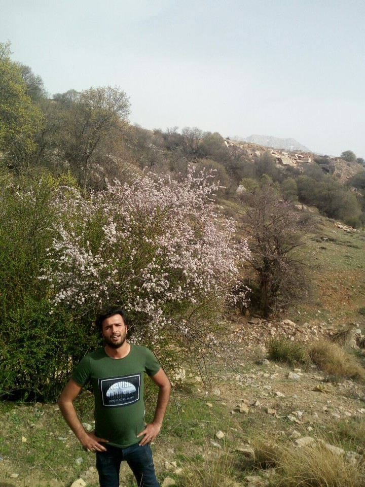 alasht