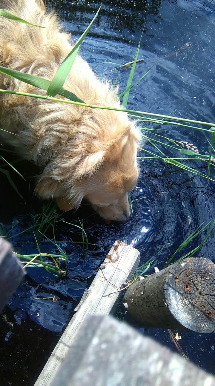 water