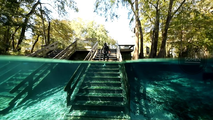 Under water life....