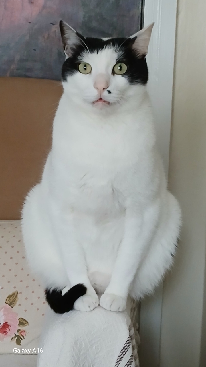 .