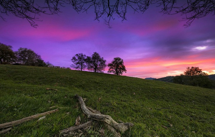 nature
