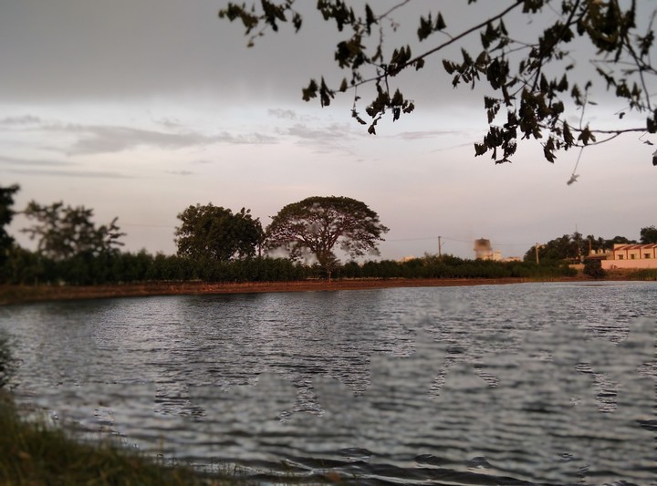 Evening