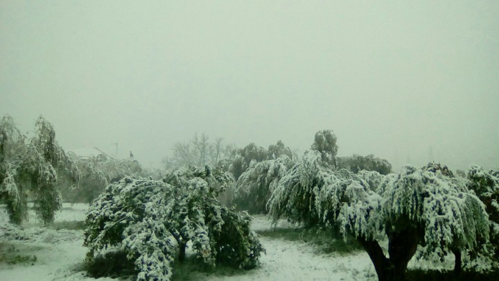 Let it snow..