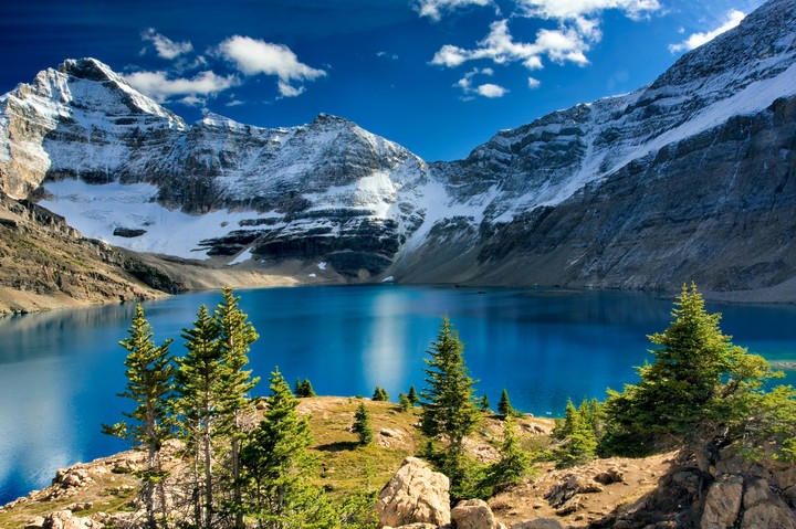 Mountain Forest