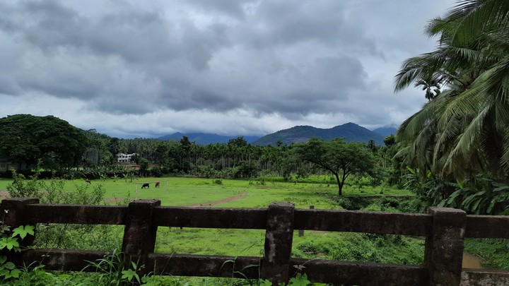 field