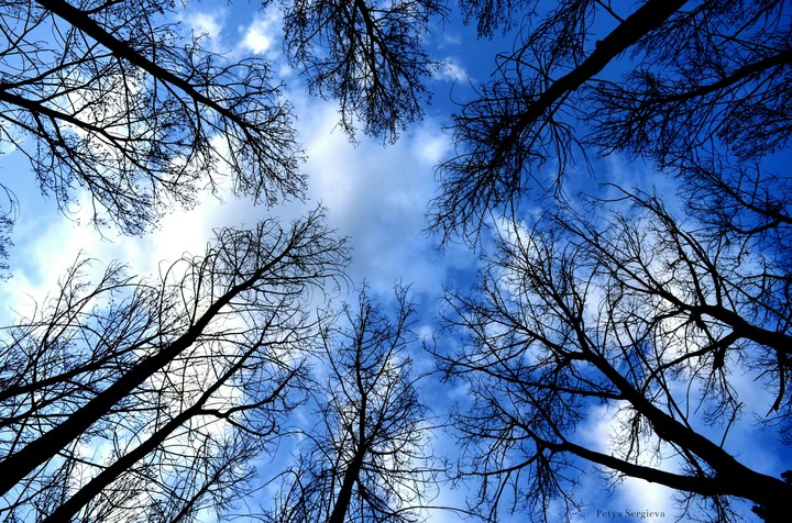 sky