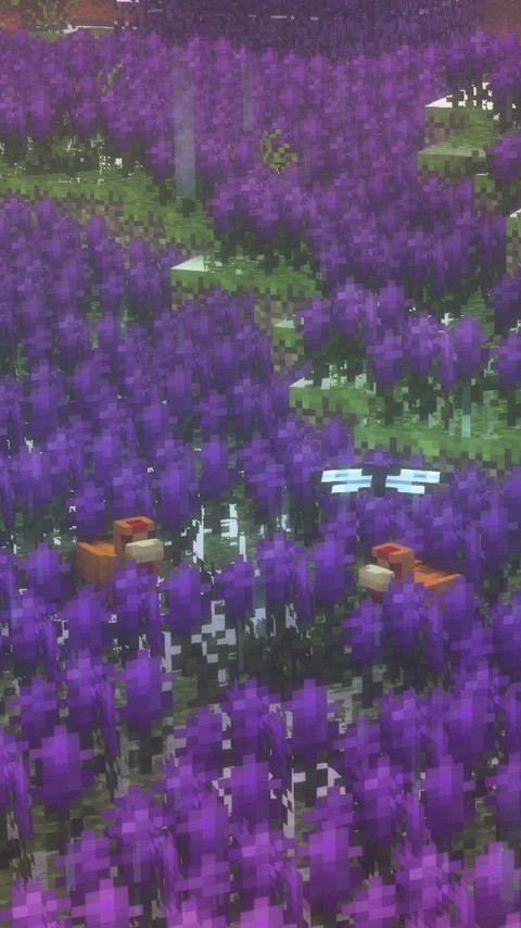 gg
