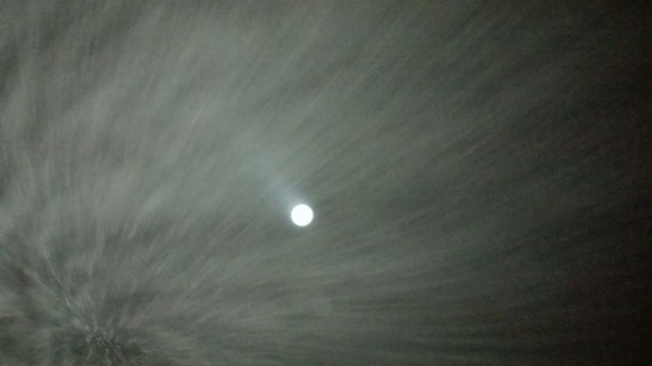 MOON