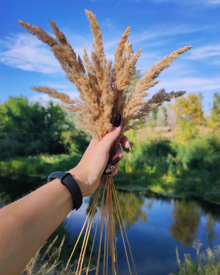 nature