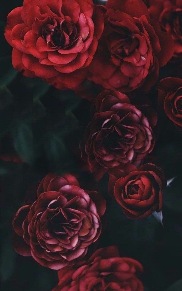R0sE