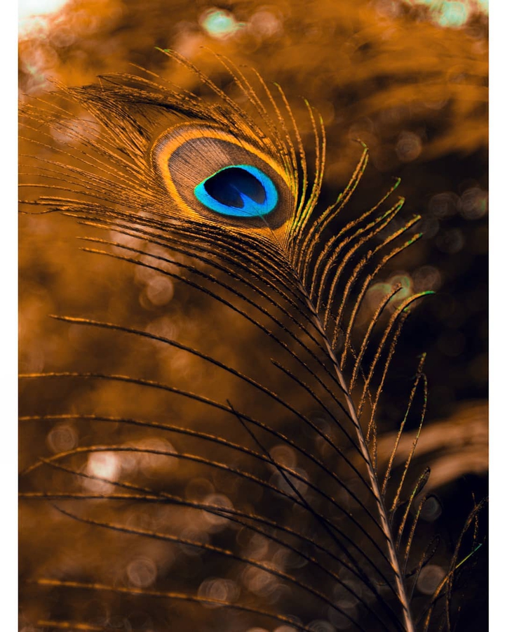 Colourful