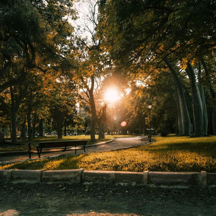 sun rays