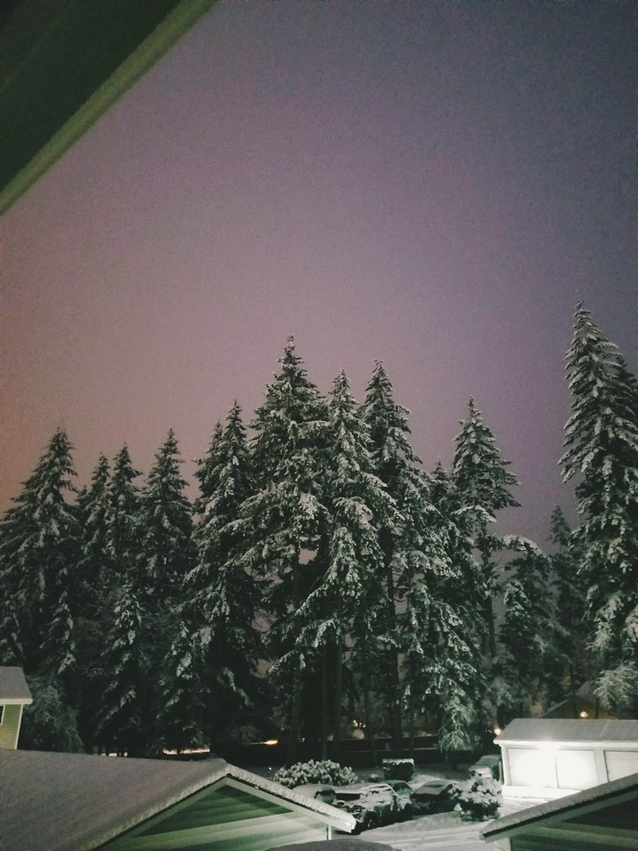 winter evenings