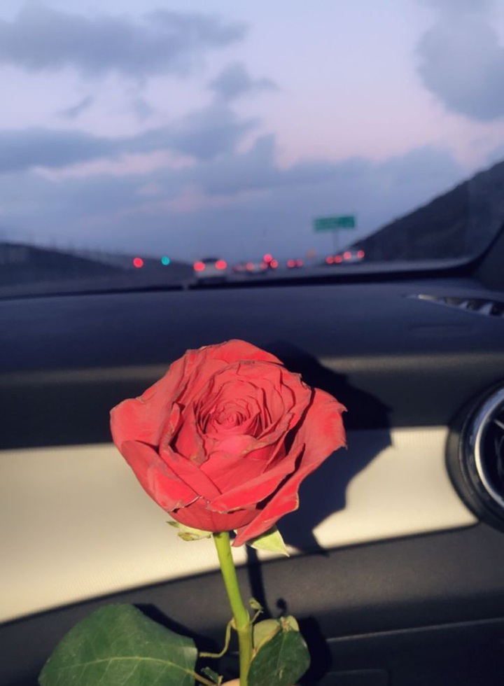 rose