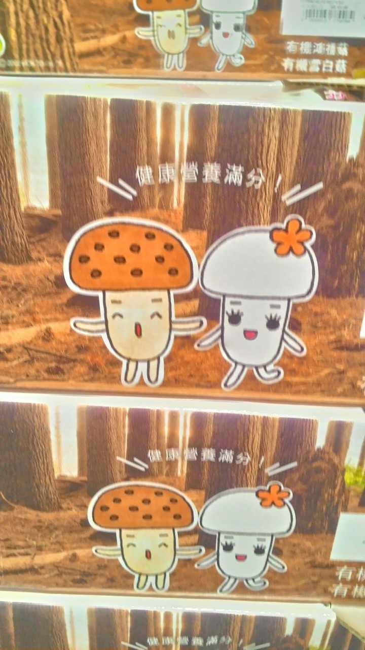 菇菇