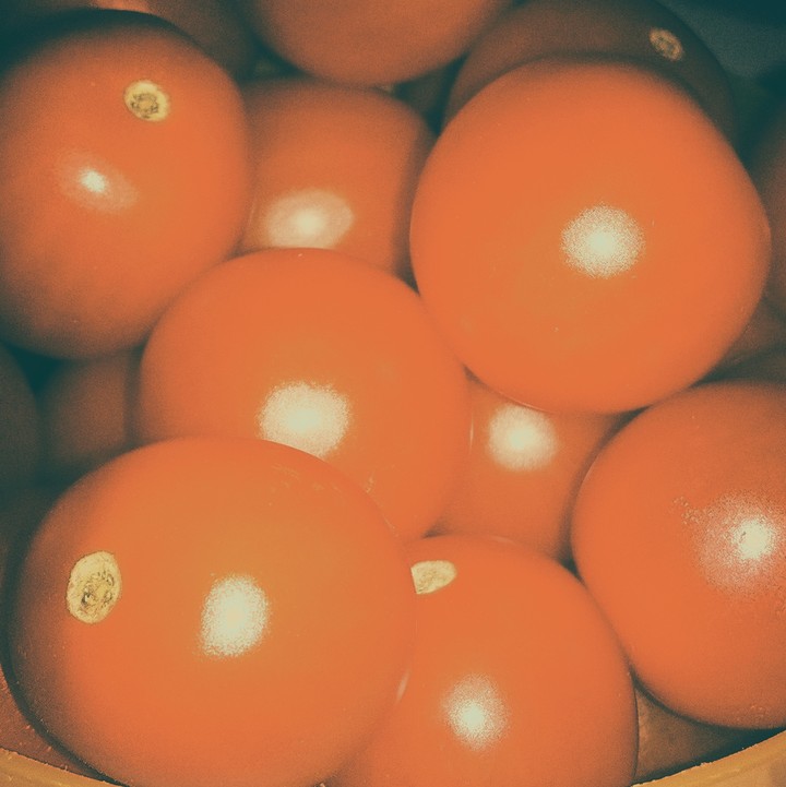 pomodorini