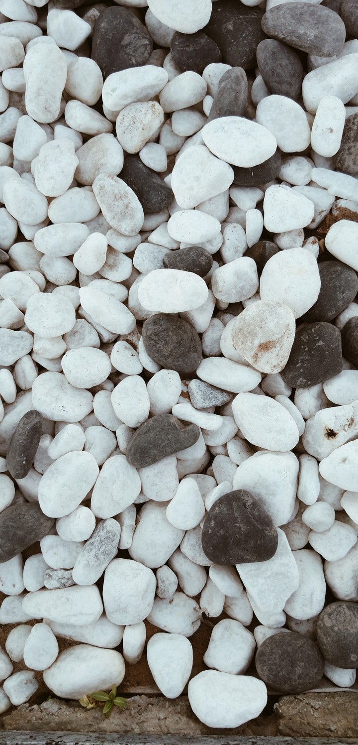 stone