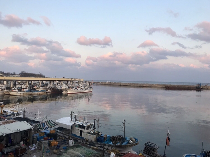 조용한 항구