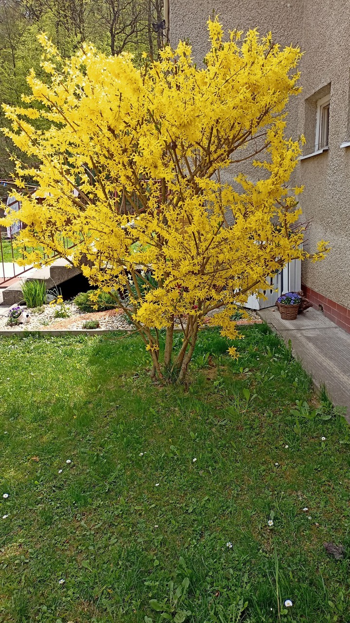I like Nature :)