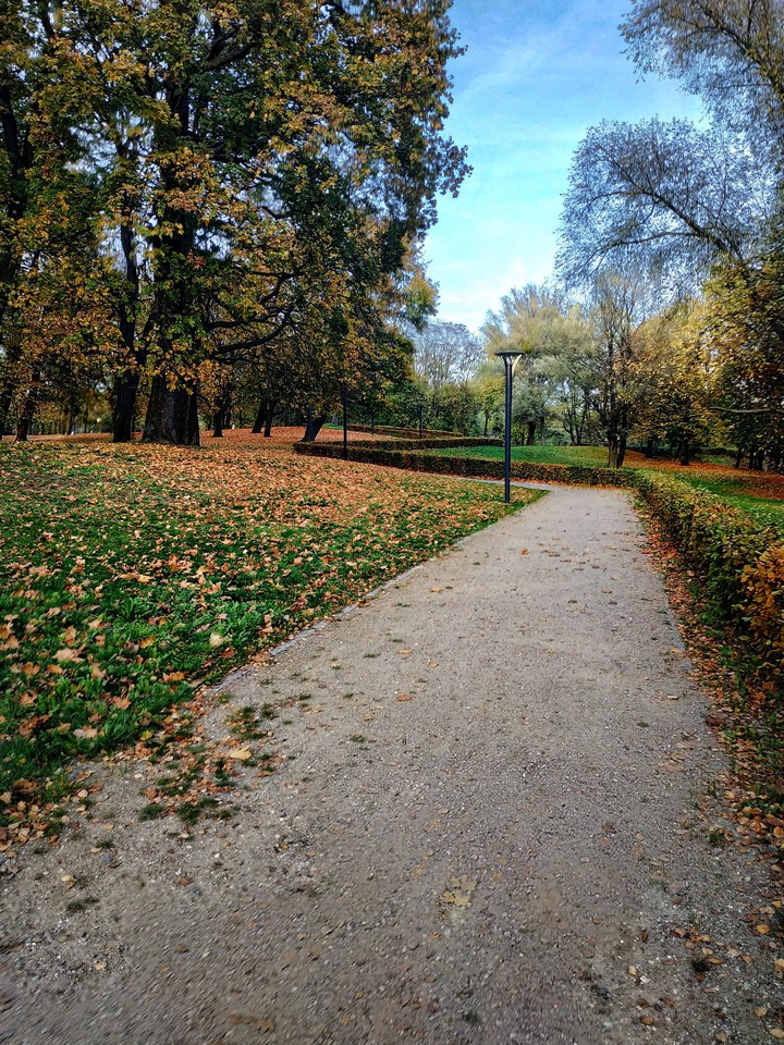park