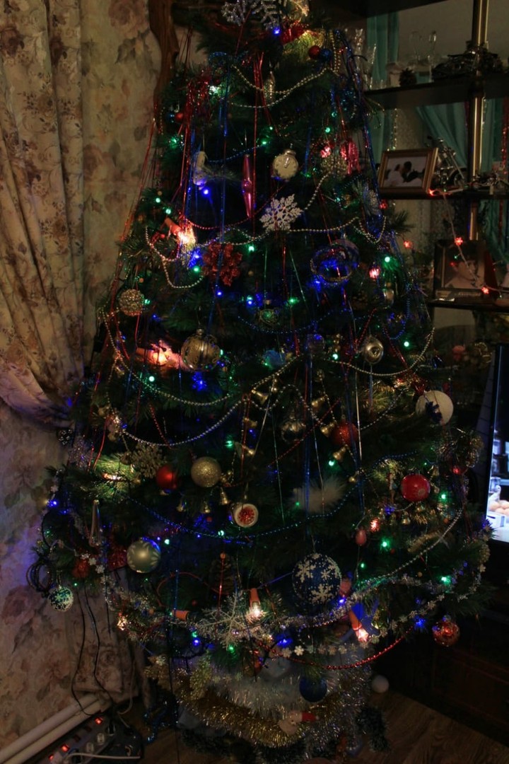 my tree
