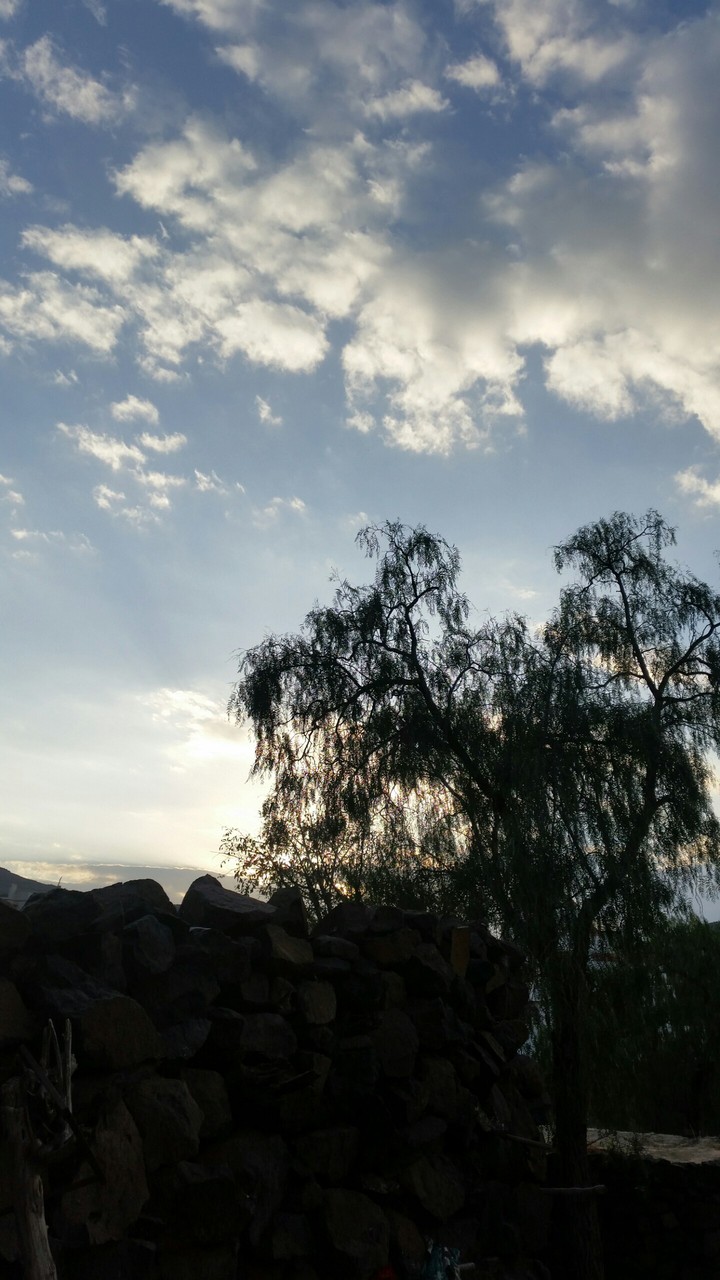 Yemen_Al Dhale'e_Damt