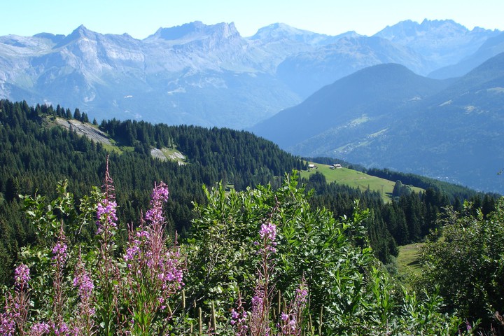 chamonix