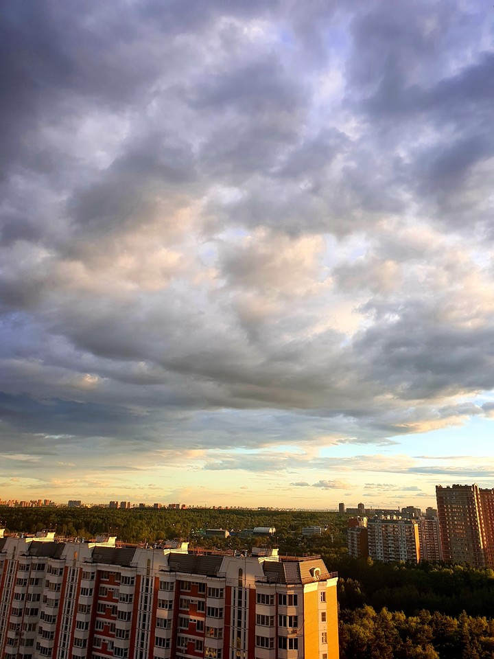 after the rain