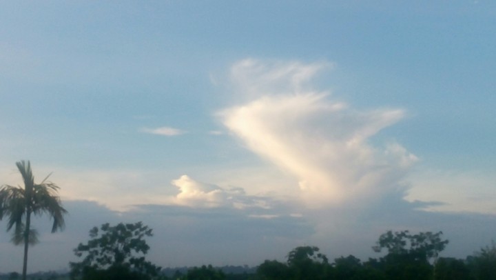 cloud..........
