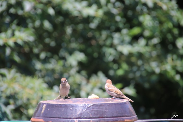 .