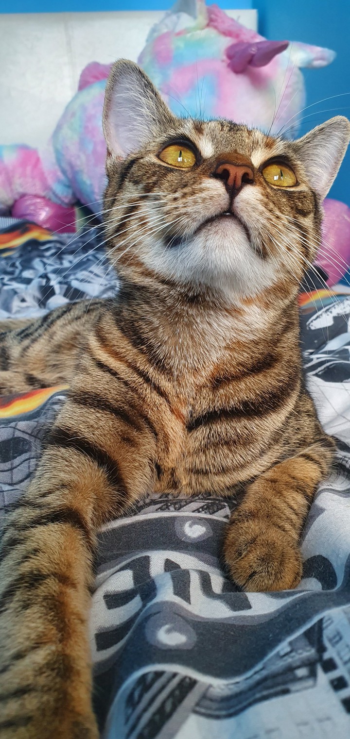 Lucy